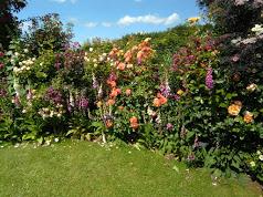 Beautiful rose gardens